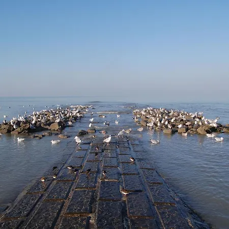 Near Seawall With Sea View, Cleaning Included *