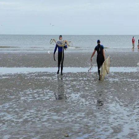 Lejlighed Near Seawall With Sea View, Cleaning Included *