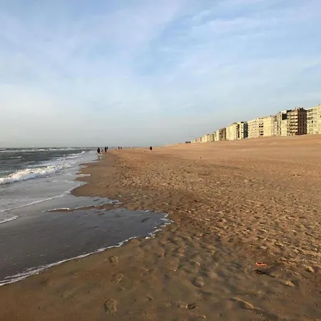 Lejlighed Near Seawall With Sea View, Cleaning Included