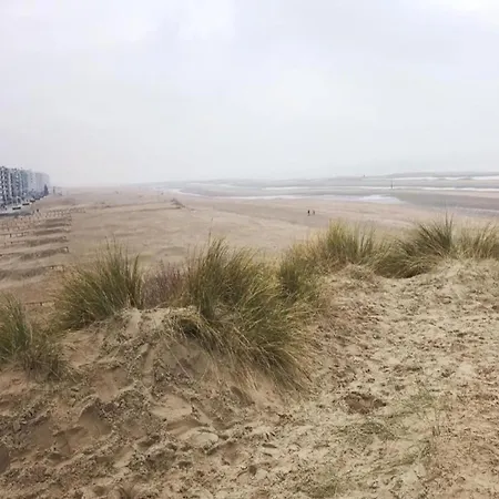 Lejlighed Near Seawall With Sea View, Cleaning Included *