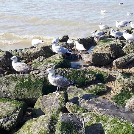 Near Seawall With Sea View, Cleaning Included * 코크시데